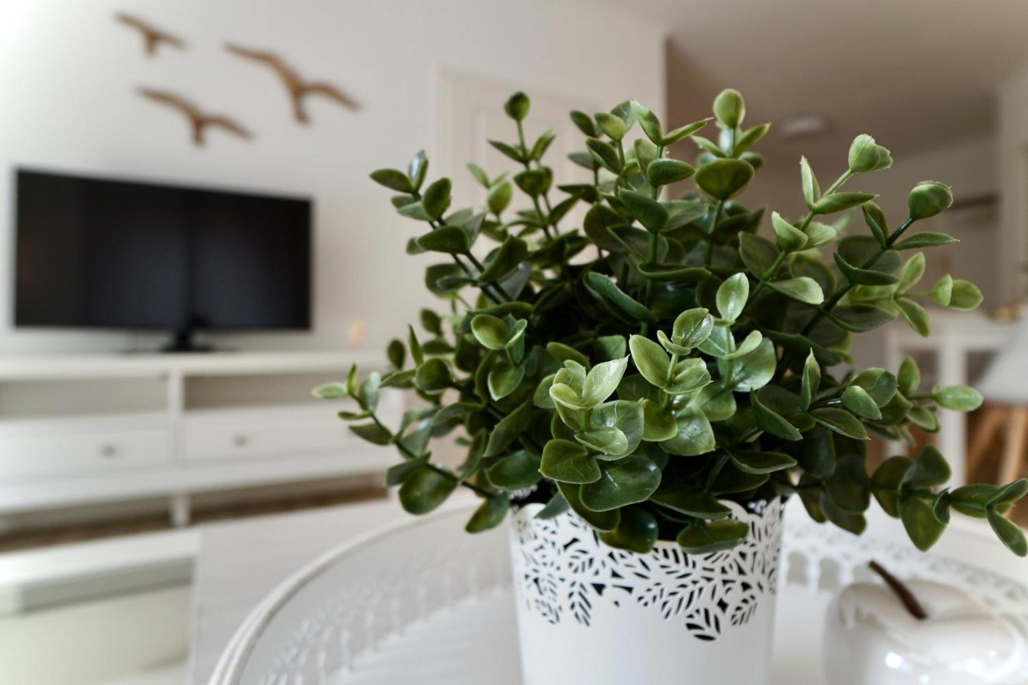 Myhome Ruegen - Haus Sonnenmeer Sellin  Ruang foto